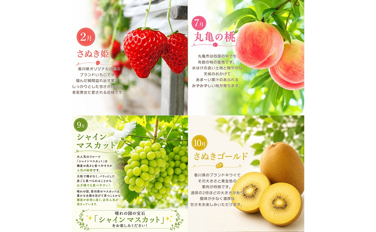 フルーツ 定期便 6回 桃 キウイ みかん いちご デコポン シャインマスカット ゴールドキウイ 苺 もも 詰め合わせ セット 柑橘 果物 さぬきひめ さぬきゴールド 紅みかん 朝食 おやつ デザート