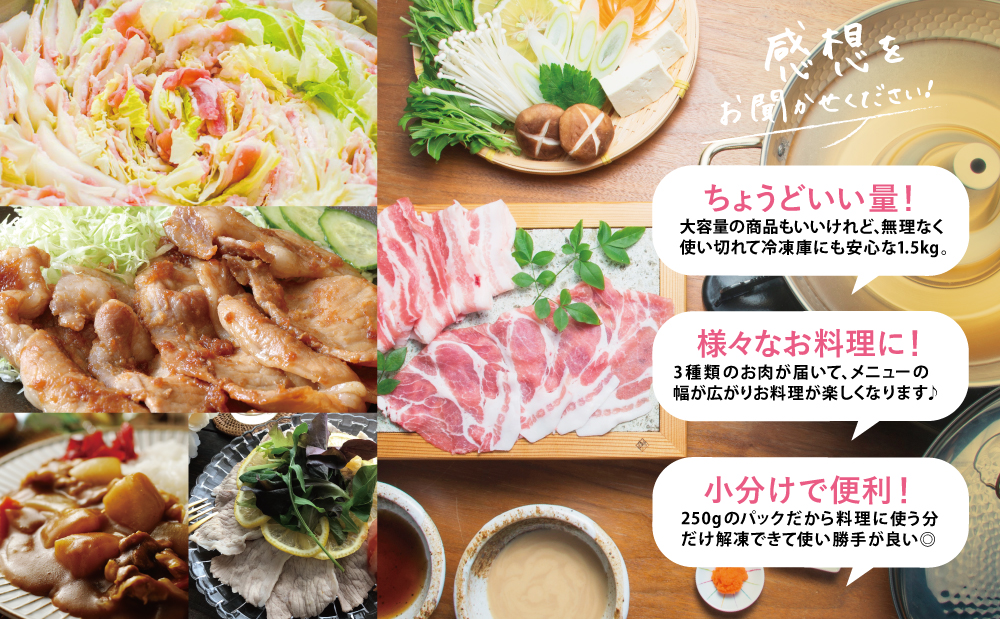 【鹿児島県産】 豚肉3種類1.5kgセット ★最短発送★ 豚 ロース 豚 バラ スライス 豚 肩ロース しゃぶしゃぶ 生姜焼き お肉 豚肉 小分け 冷凍 カミチク 南さつま市