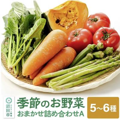 ふるさと納税 沼田市 季節のお野菜　おまかせセット　A