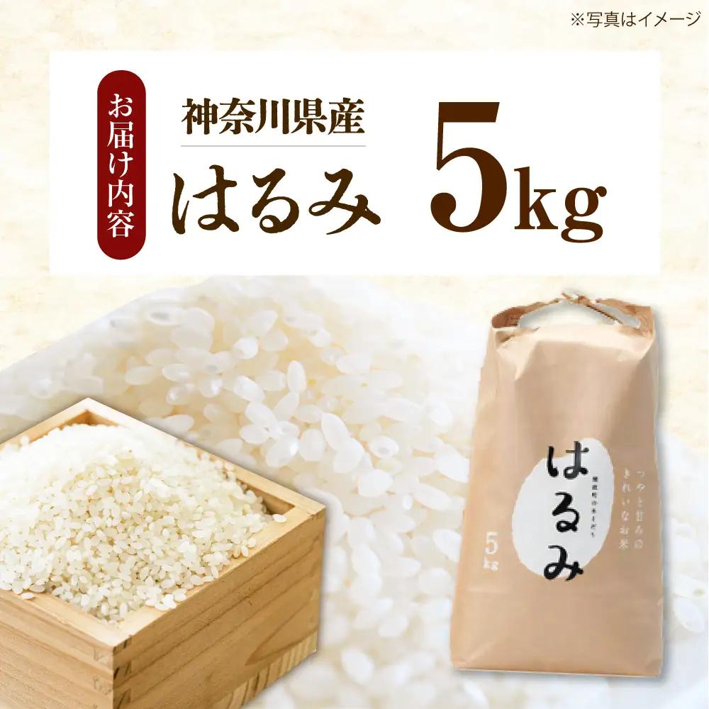 【先行予約】【遠藤ファーム】はるみ 新米 新米 5kg 令和8年産 [BDAF001] 