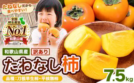 【ご家庭用/訳あり】たねなし柿7.5kg《2025年9月中旬-11月上旬頃より出荷予定》 和歌山県 紀の川市 柿 カキ かき ジューシー フルーツ