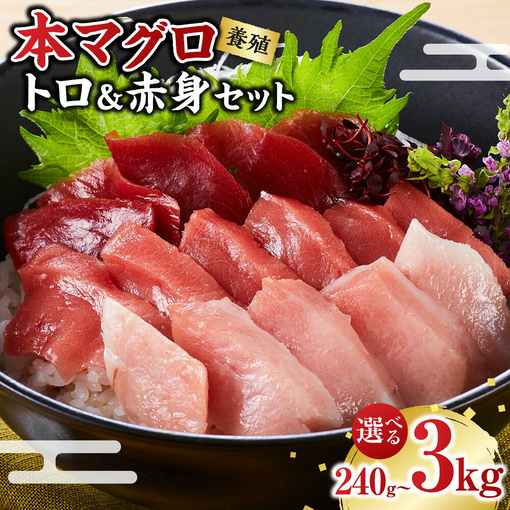【ふるさと納税】［選べる内容量／240g・500g・1kg・3kg ］本マグロ（養殖）トロ＆赤身セット | 那智勝浦町 養殖本マグロ トロ 赤身 海鮮 人気 おすすめ 刺身 寿司 魚介類 冷凍 鮮度抜群 グルメ お取り寄せ 送料無料 ふるさと納税