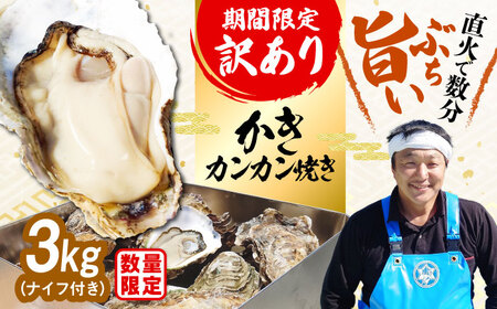 【生牡蠣】【訳あり】カンカン焼き（ナイフ付き）3kg 牡蠣 かき 魚介類 料理 簡単 江田島市/株式会社門林水産[XAO041]