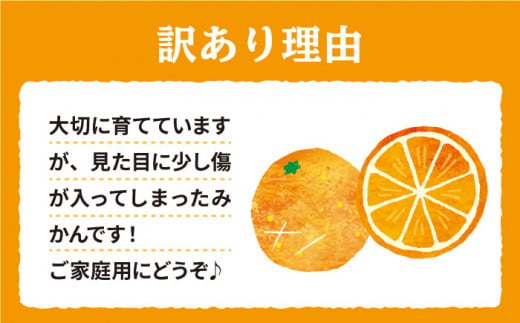 みかん 西海【 訳あり 】 石地みかん 約5kg  みかん ミカン 西海市 温州みかん 石地みかん 贈答 ギフト 家庭用 ＜中尾果樹園＞ [CEL006]