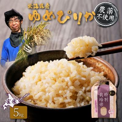 ふるさと納税 羽幌町 北海道産 特別栽培米 ゆめぴりか 玄米 5kg (無化学肥料・農薬不使用)【25137】