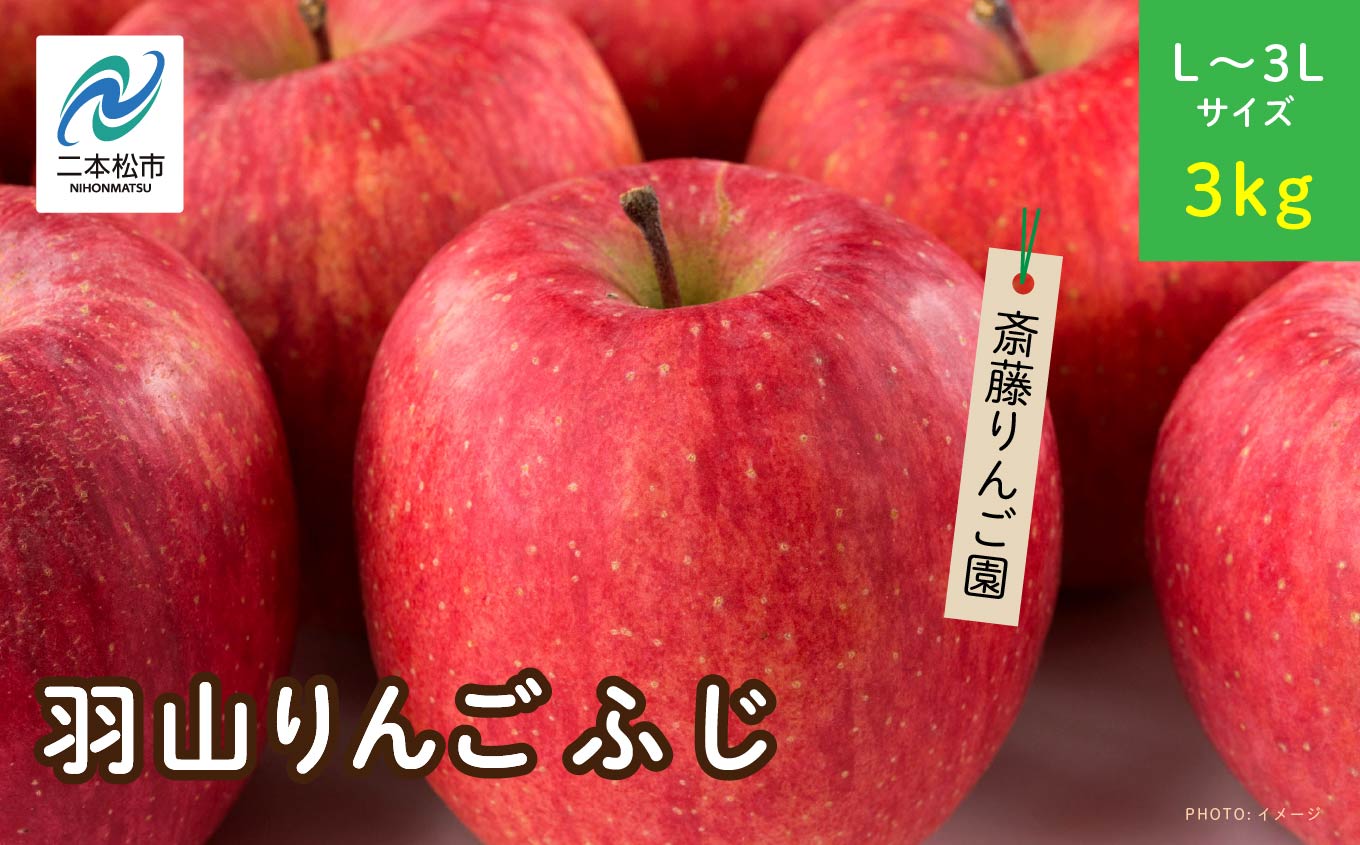 《2026年11月下旬以降順次》羽山のりんご　ふじL〜3Lサイズ3kg りんご リンゴ 果物 フルーツ 羽山りんご 3kg ふじ 人気 くだもの おすすめ お中元 お歳暮 ギフト 二本松市 ふくしま 福島県 送料無料【斎藤りんご園】