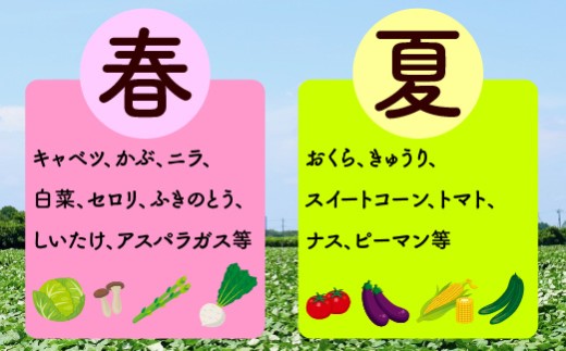 宮若産 旬の野菜詰め合わせ詰め合わせ 6?8種セット [M1018] 季節 野菜 果物 詰め合わせ 九州 福岡 宮若市 ふるさと納税 おすすめ