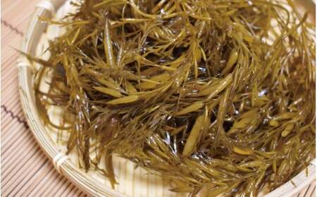 ［由良町産］紀州 あかもく 100g×10パック（2026年産）【sml103E】