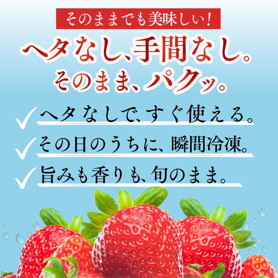 【先行予約＿2026年出荷分】特別賞受賞！完熟冷凍いちご 2kg BabyBerryFarm　いちご 果物 フルーツ 苺 イチゴ 冷凍 くだもの 静岡県産 期間限定