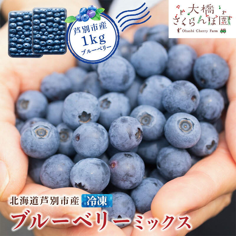 【ふるさと納税】ブルーベリー ミックス 1kg 冷凍 果物 くだもの フルーツ 旬の果物 旬のフルーツ ミックスブルーベリー 大粒 小粒 北海道 芦別市