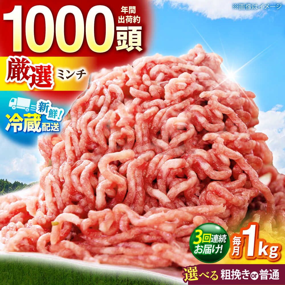 【ふるさと納税】【全3回定期便】【選べる挽き方】ええやんさくらポーク 小林ファーム 豚肉 ミンチ1kg / 三元豚 ひき肉 国産 挽肉 豚ミンチ ハンバーグ 餃子 ジューシー 麻婆豆腐 ミートソース 粗挽き お弁当 おかず 新鮮 冷蔵 / 亀山市 /小林ファーム[AMAB032]