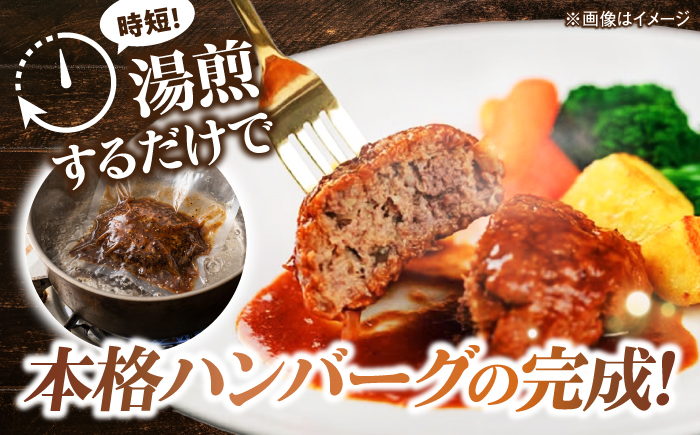 黒毛和牛100％ハンバーグ食べ比べセット（デミグラスソース・トマトソース）計8個 島根県松江市/株式会社MJビーフ [ALIO008]