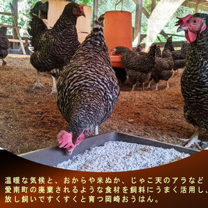 【定期便3回】平飼い地鶏の ミンチ 1kg×3回 (合計3kg) 岡崎おうはん 愛媛 愛南町 ブランド 希少 ローカルスタンダード