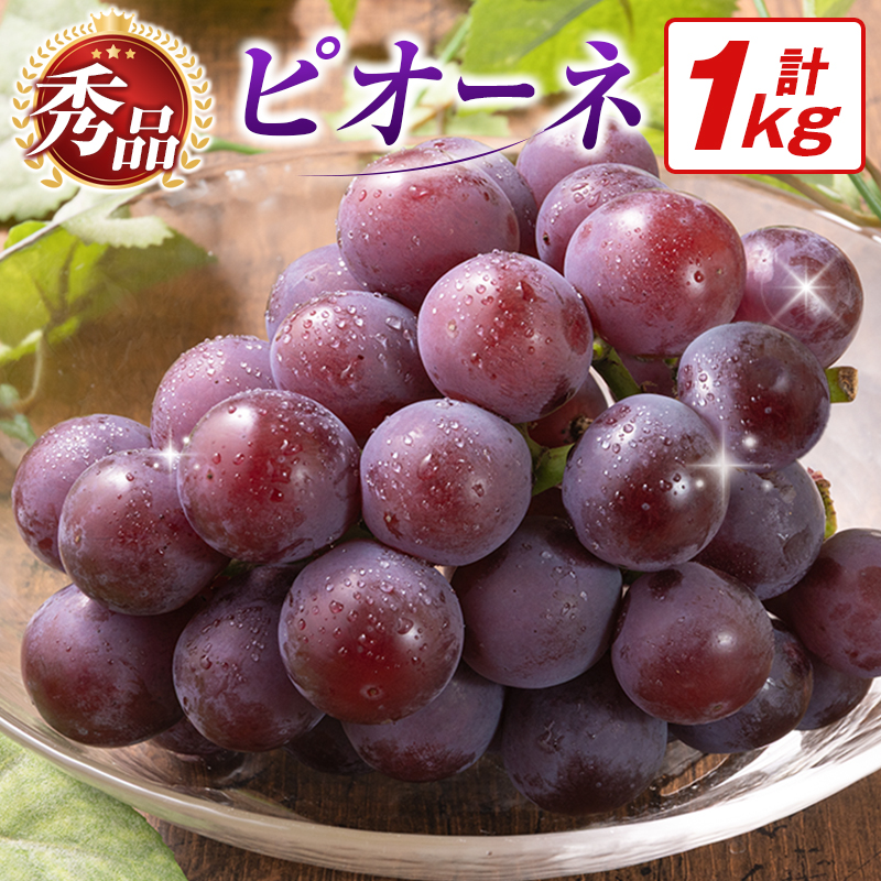【令和9年発送 先行予約】小林市産 ピオーネ 1kg（ぶどう ブドウ ピオーネ フルーツ 果物 くだもの ）  1.0kg程度