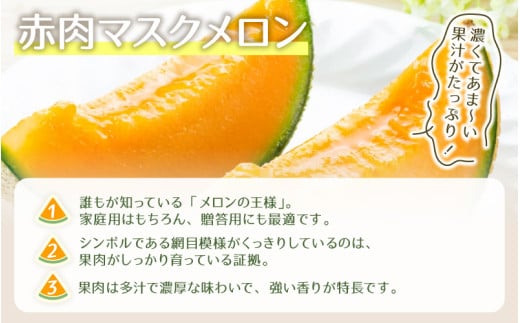 【先行予約】赤肉マスクメロン（1.5kg以上 1玉入）味も見た目も抜群！アールスメロン  / 期間限定 果物 フルーツ 産地直送 赤肉 人気 ギフト 贈答 ※2026年7月上旬より順次発送 [aw03