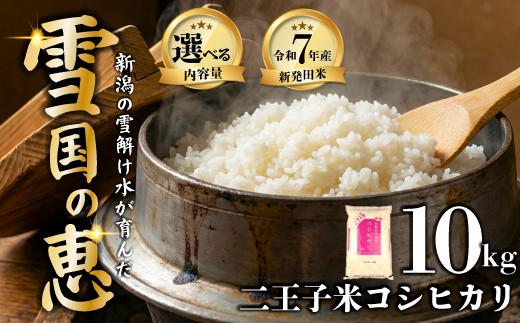 令和7年産 新潟県産 コシヒカリ 10kg 5kg×2袋 数量限定 特別栽培米 二王子米 新潟産 新潟米 新発田産 新発田 お米 米 kome 白米 ご飯 こめ ごはん ライス ふるさと納税米 コシヒカリ お弁当 食品 せいだ とんとん市場 ブランド米 人気米 玄米 新潟県 新発田市 とんとん市場のお米 seida003_02