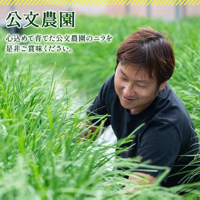 ふるさと納税 香南市 ニラ にら 1kg(100g×10束) 香南市産のニラ kk-0001 |  | 03