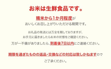 【先行予約】新米 米 つや姫 10kg 2025年産 令和7年産 無洗米 ja-tsmxa10 ※沖縄・離島への配送不可