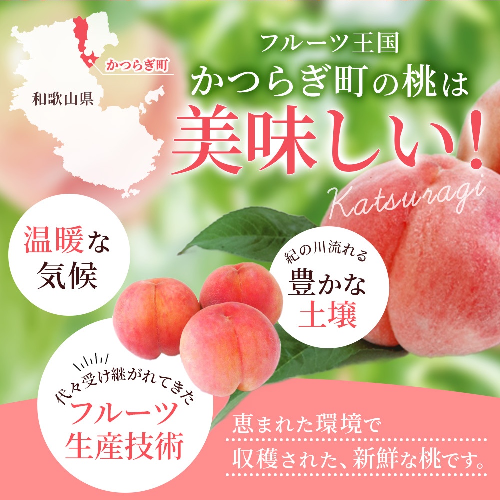 【先行予約】【厳選】あふれる果汁で口いっぱい！ 和歌山県産 桃 約2kg（6個~9個） 2025年6月末頃～2025年8月末頃に順次発送予定（お届け日指定不可）/ 和歌山 桃 モモ フルーツ もも 白