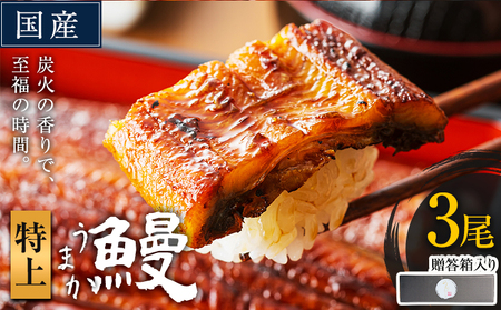 うなぎ 特上サイズ 3尾 贈答箱入り 鰻 《30日以内に出荷予定(土日祝除く)》