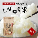 【ふるさと納税】千葉県産コシヒカリ「しばはら米」5kg(精米) ふるさと納税 コシヒカリ 米 精米 こめ 千葉県 長南町 CNA001