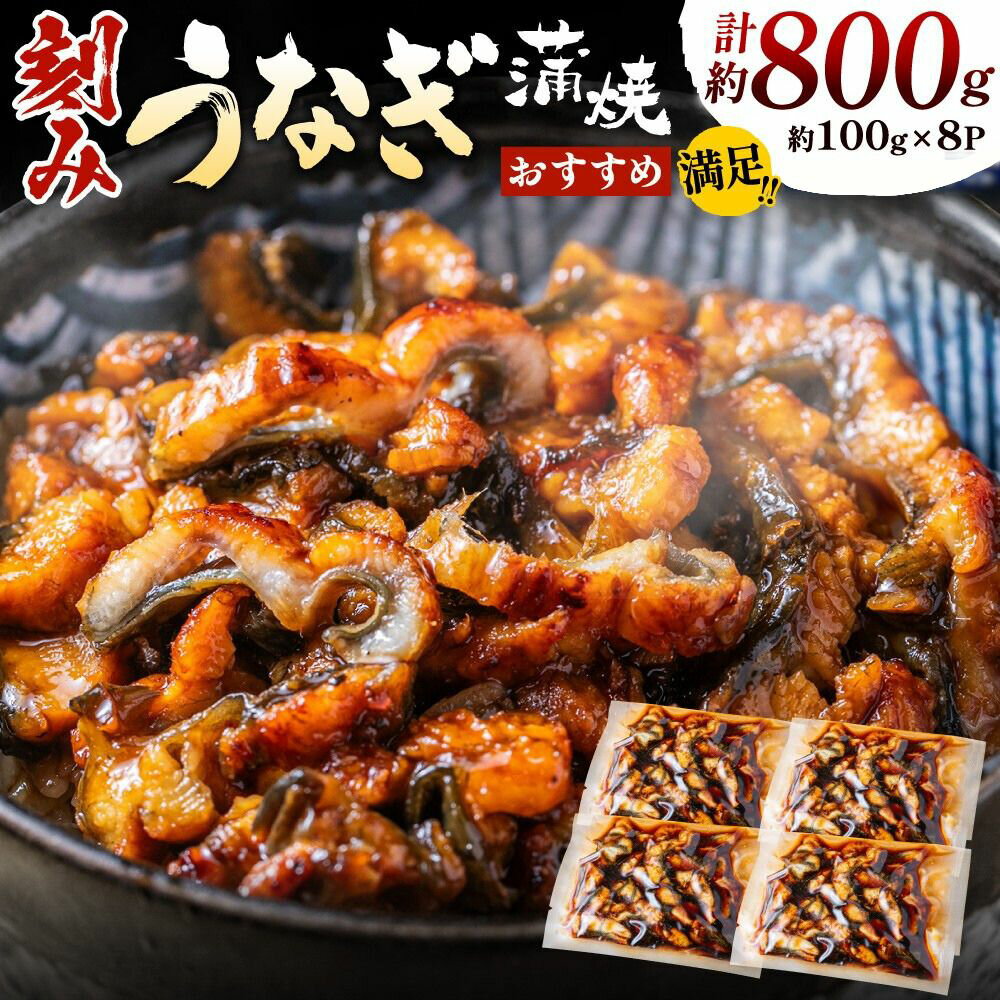 【ふるさと納税】刻みうなぎ蒲焼き（約100g×8Pセット）.AE237