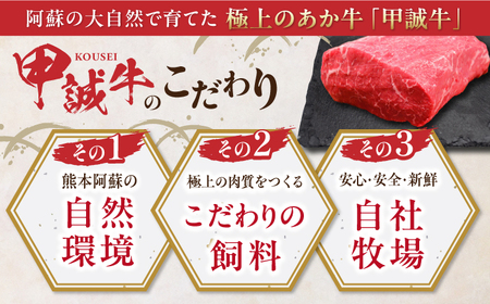 【全6回定期便】熊本和牛あか牛モモ ブロック 500g 【有限会社 三協畜産】[YCG171]