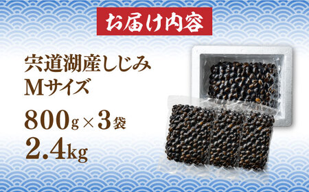 宍道湖産 冷凍大和しじみ 砂抜き済 Mサイズ 2.4kg　23010-19