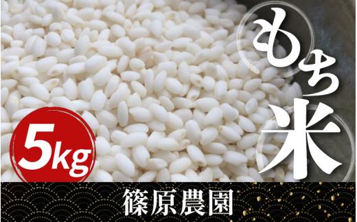 米 もち米 令和7年産 新米 5kg もちみのり 米 こめ お米 ご飯 ごはん もち 餅 もちごめ 白米 精米 ギフト 贈答 プレゼント グルメ 送料無料 徳島県 三好市 みよし 篠原農園