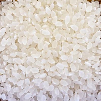 ふるさと納税 丹波篠山市 丹波篠山産特別栽培米コシヒカリ2kg×3 |  | 03