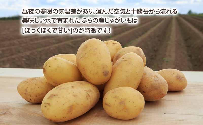 【2025年10月～発送】甘くてホクホク！じゃがいも きたあかり 【約10kg】 (スイートベジタブルファクトリー) 野菜 新鮮 直送 朝採り じゃがいも 芋 インカのめざめ いんか 道産 北海道 ふ