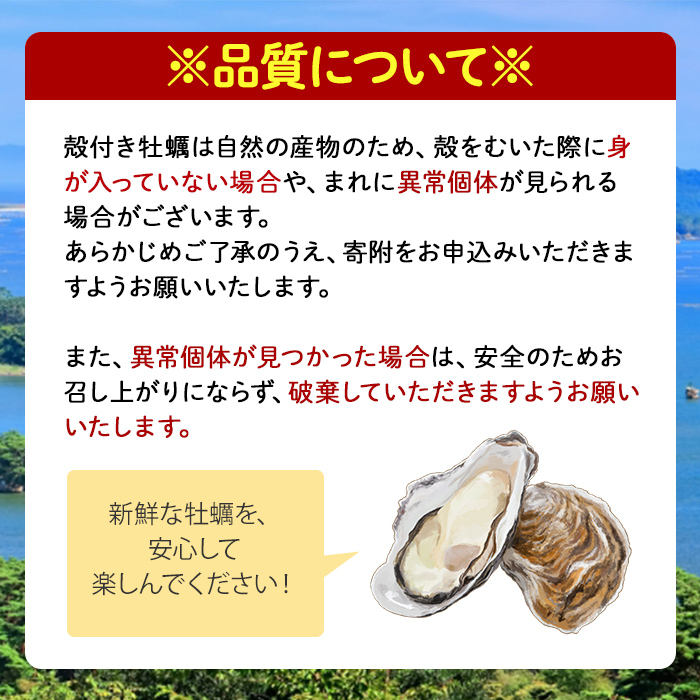 殻付き牡蠣（生食用）冷凍 2kg 生牡蠣 宮城県産 牡蛎 牡蠣 カキ かき 生食 オイスター カキフライ 牡蠣鍋 海鮮 国産 魚貝類 バーベキュー BBQ 【カタクチ商店株式会社】tm738