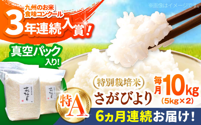 【先行予約 2026年11月～発送】【6回定期便】令和8年産 こだわりのさがびより 10kg×6回（白米）【白浜農産】令和8年産 米 60kg 10kg お米 さがびより 特A 特別栽培米 佐賀 白石