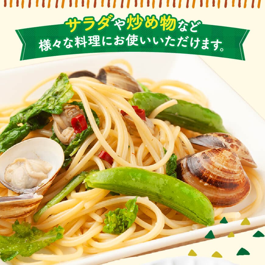 【令和8年発送】宮崎県産　スナップエンドウ1.0kg 【 野菜 宮崎県産 川南町産 野菜 産地直送 新鮮 数量限定 】