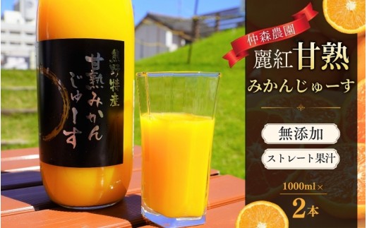みかんジュース 仲森農園の麗紅甘熟みかんじゅーす 1L×2本 ミカンジュース みかん ミカン 温州みかん ストレート フルーツジュース フルーツ 果物 くだもの 人気 数量限定 仲森農園 三重県 熊野市【nkmr0026】