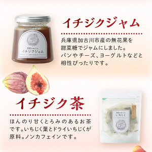 期間限定【農園のめぐみ】甘味が凝縮いちじく750g×2・いちじく加工品セット《 数量限定 限定 果物 くだもの フルーツ いちじく 無花果 送料無料 》【2402C08211】