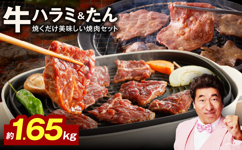 【大人気の食べ比べ】牛ハラミ肉 ＆ 牛たん 総量 1.65kg【ハラミ 牛タン 小分け 牛肉 焼肉セット BBQ 訳あり サイズ不揃い 大阪 泉佐野 大阪府 泉佐野市】