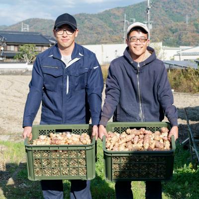 ふるさと納税 宍粟市 菊芋パウダー　150g×4パック　AT3 |  | 02