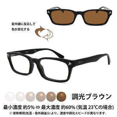 ふるさと納税 岸和田市 国産調光レンズ使用オリジナルレイバン色が変わるサングラス(RX5017A 2000)　ブラウンレンズ |  | 01