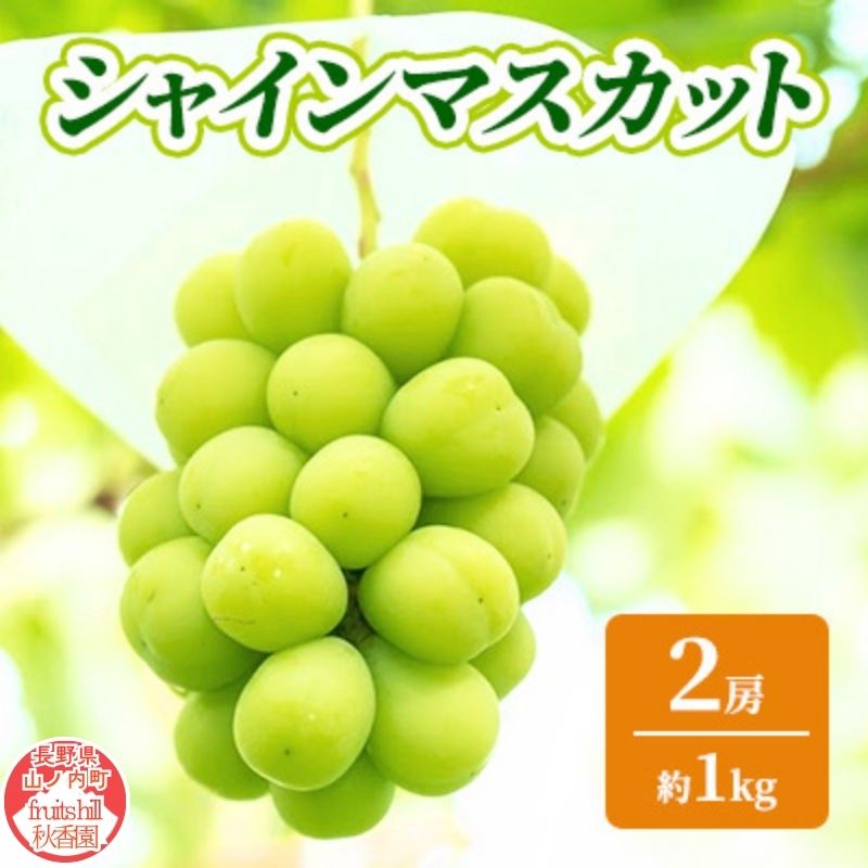 【ふるさと納税】【2026年9月～発送】シャインマスカット 約1kg 2房 ぶどう フルーツ 果物 デザート 長野県 山ノ内町　お届け：2026年9月中旬～10月下旬