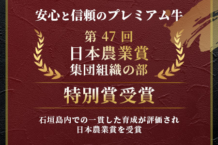 特選石垣牛100%ハンバーグ100g×3個＋特選石垣牛元卸お任せ焼肉180gセット  I-17-1