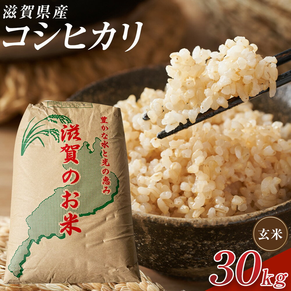 【ふるさと納税】【令和7年産】近江米コシヒカリ玄米30kg | お米 こめ 玄米 食品 人気 おすすめ 送料無料 甲賀市 近江米