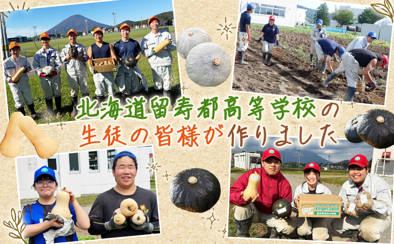 留寿都村の高校生が作った! 雪化粧かぼちゃ 【23002】