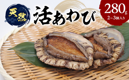 天然 活あわび 280g (2～3個) 活鮑 黒あわび 赤あわび あわび 鮑 貝 貝類 海鮮セット 刺身 お刺身 BBQ バーベキュー 海鮮 冷蔵 淡路島 洲本市