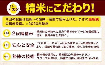 令和5年産 森のくまさん 無洗米 10kg 《7-14営業日以内に出荷予定(土日祝除く)》5kg×2袋 熊本県産 米 精米 森くま 御船町
