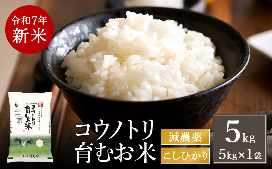 【令和7年産先行予約】新米 減農薬 米 特別栽培米 5kg コウノトリ育むお米 但馬産 こしひかり 兵庫県産 (5kg×1袋)（94-004）減農薬 お米 5キロ 精米 白米 コウノトリ米 コシヒカリ 新米 コメ こめ ご飯 ライス 減農薬米