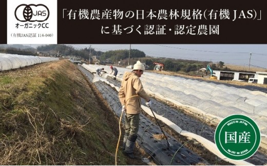 野菜 定期便 詰め合わせ セット よしむら農園 オーガニック おまかせ野菜セット 12回 おまかせ 旬 旬の野菜 ビタミン 栄養 健康 栄養バランス 一人暮らし 野菜炒め 無添加 旬 有機栽培 JAS