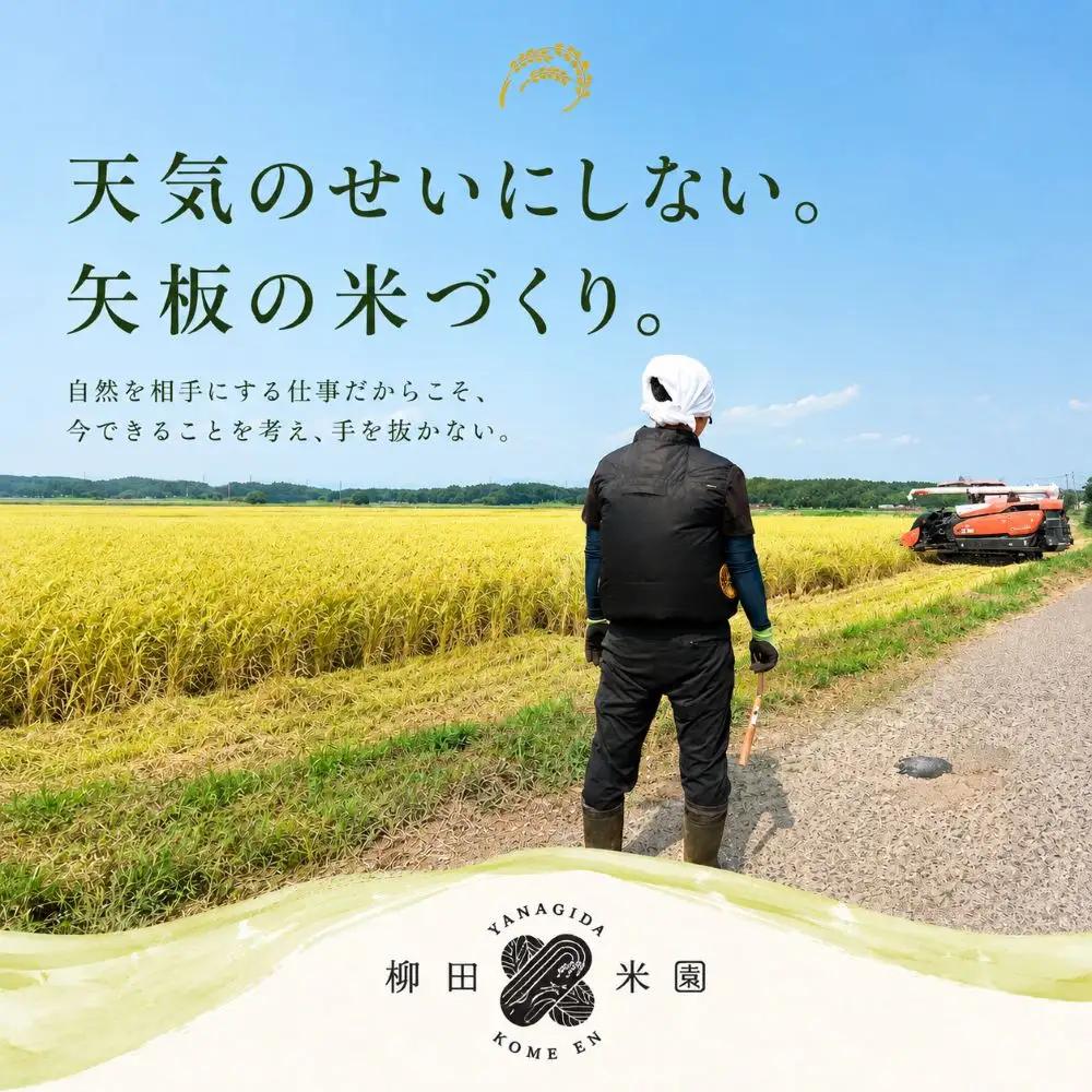 【令和８年産 新米】矢板市特別栽培米 お米 訳あり こしひかり 白米 5kg |栃木県 矢板市