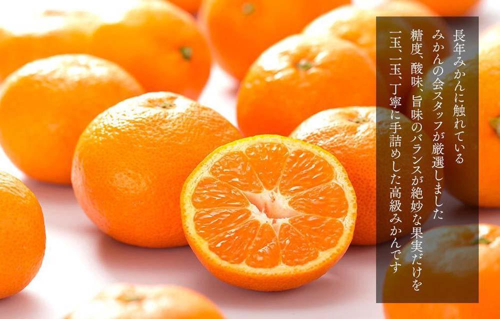 みかん めっちゃうまいんじゃ 木箱入 約3kg （内容量2.3kg）みかんの会厳選 特選品 M S 2S サイズのいずれか 和歌山県産 産地直送 S品 贈答用 【みかんの会】 AX193_イメージ3