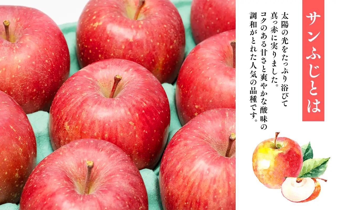 【レビューキャンペーン】1~2月発送 贈答用 糖度証明書付 サンふじ 約5kg 青森県平川市産[hi-0005-039]